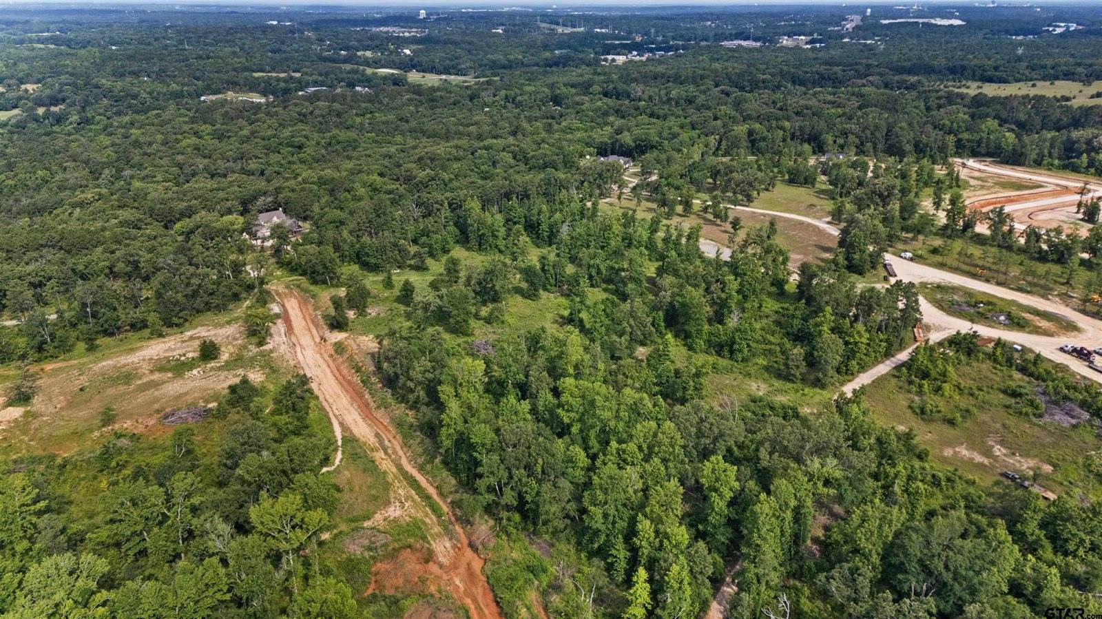 Lot 9 CR 2123, Whitehouse, TX 75791