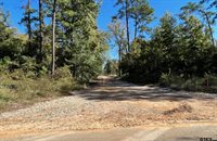 Lot 47 CR 2123, Whitehouse, TX 75791