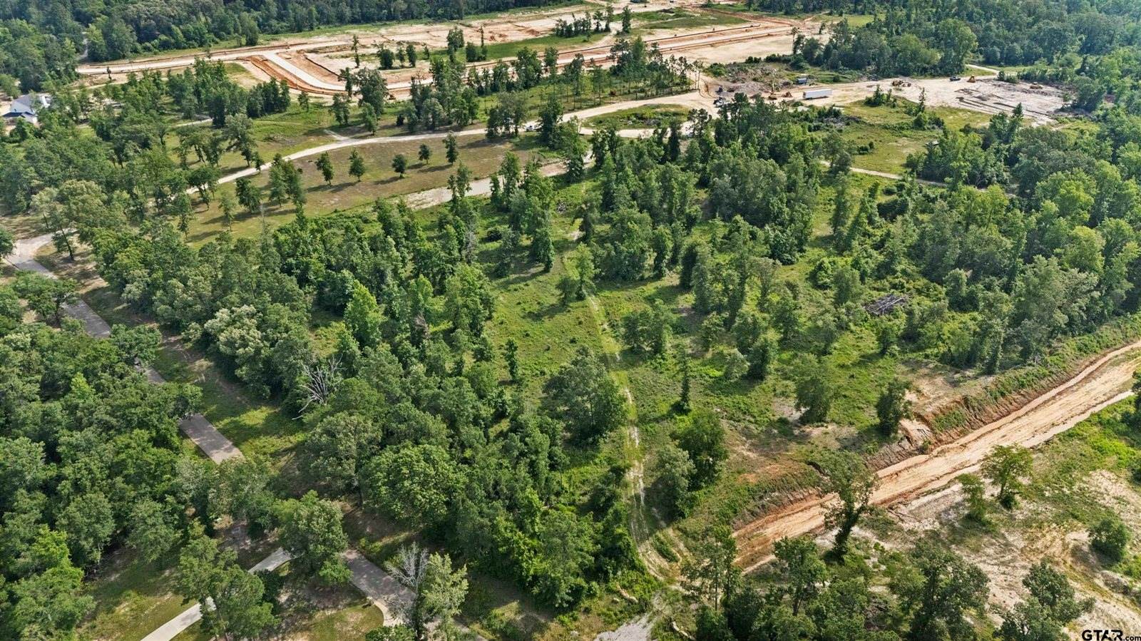 Lot 10 CR 2123, Whitehouse, TX 75791