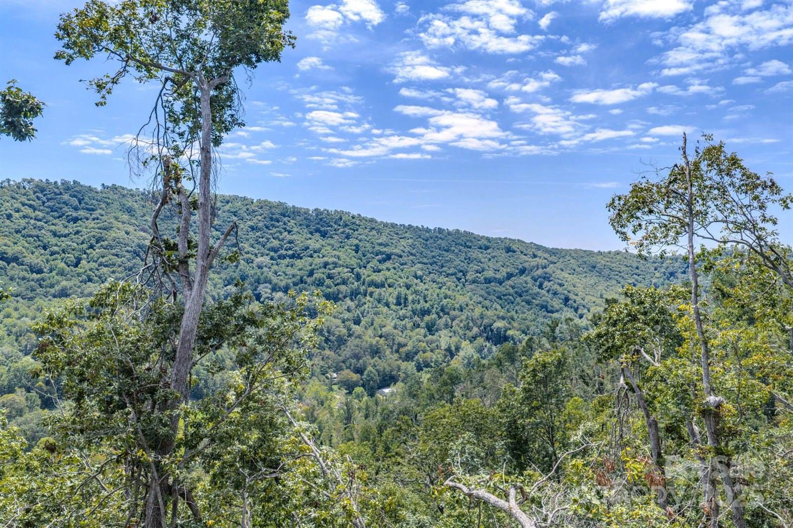 99999 Majestic Mountain Drive, Asheville, NC 28805