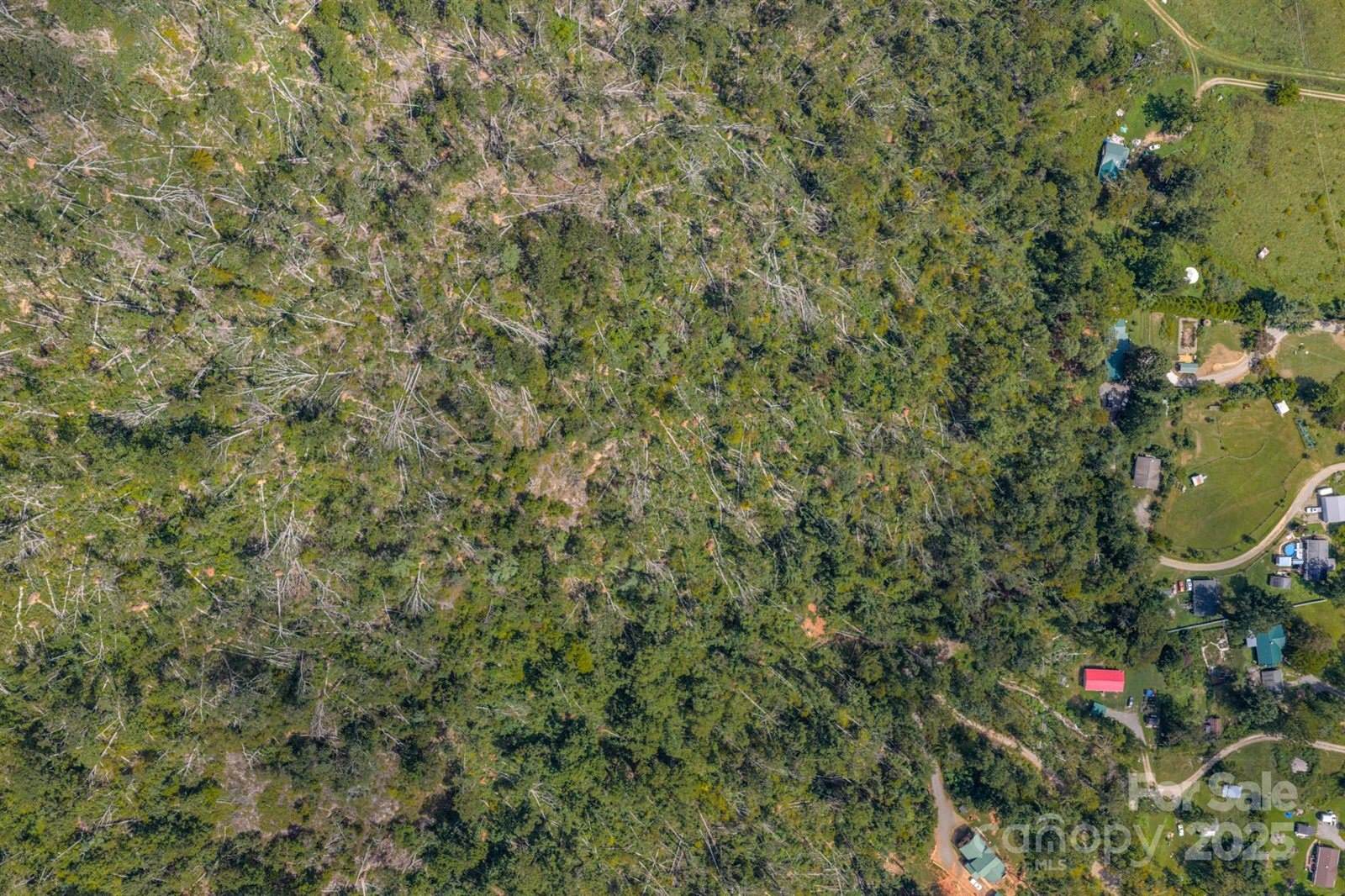 99999 Majestic Mountain Drive, Asheville, NC 28805