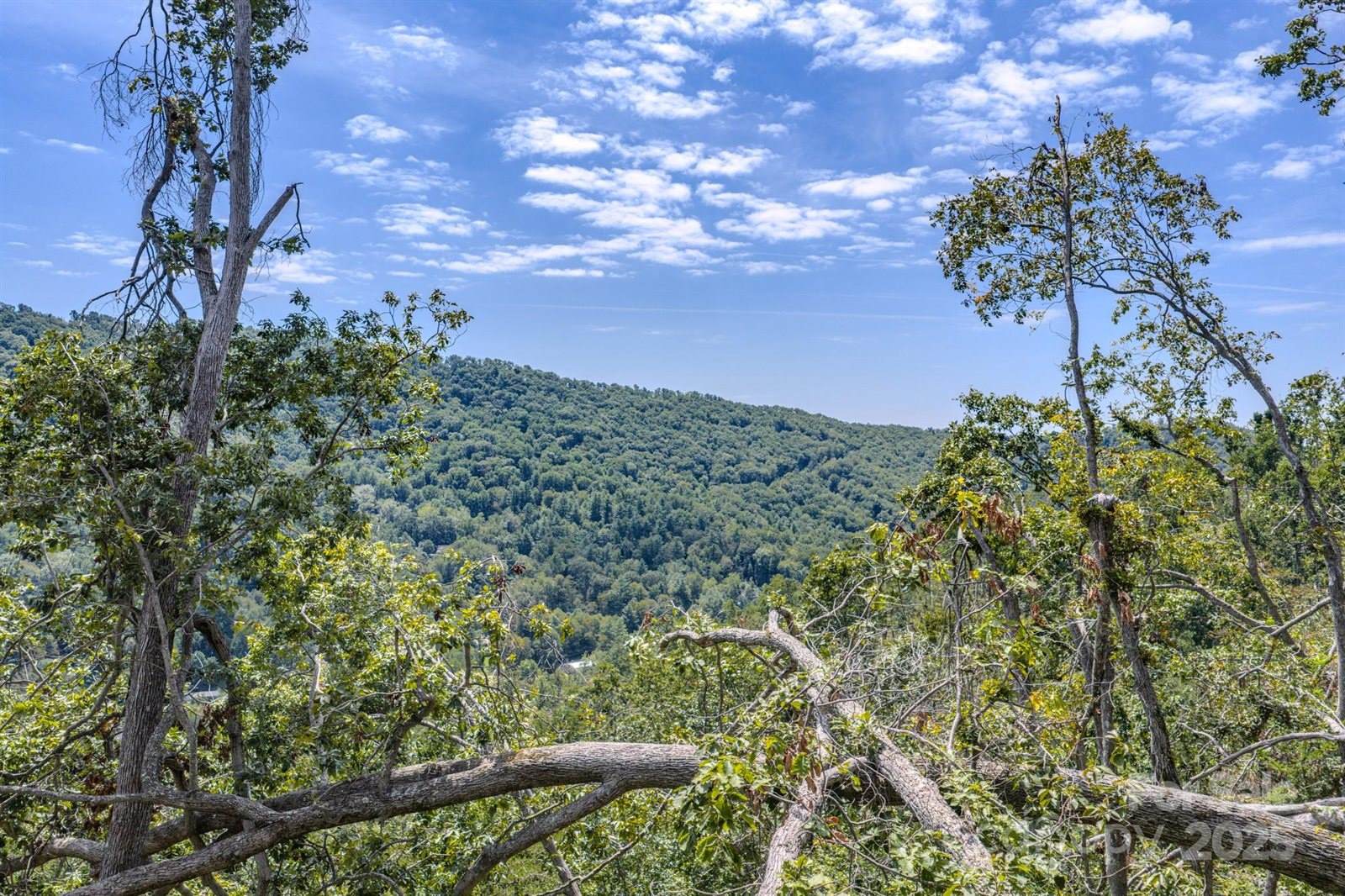 99999 Majestic Mountain Drive, Asheville, NC 28805