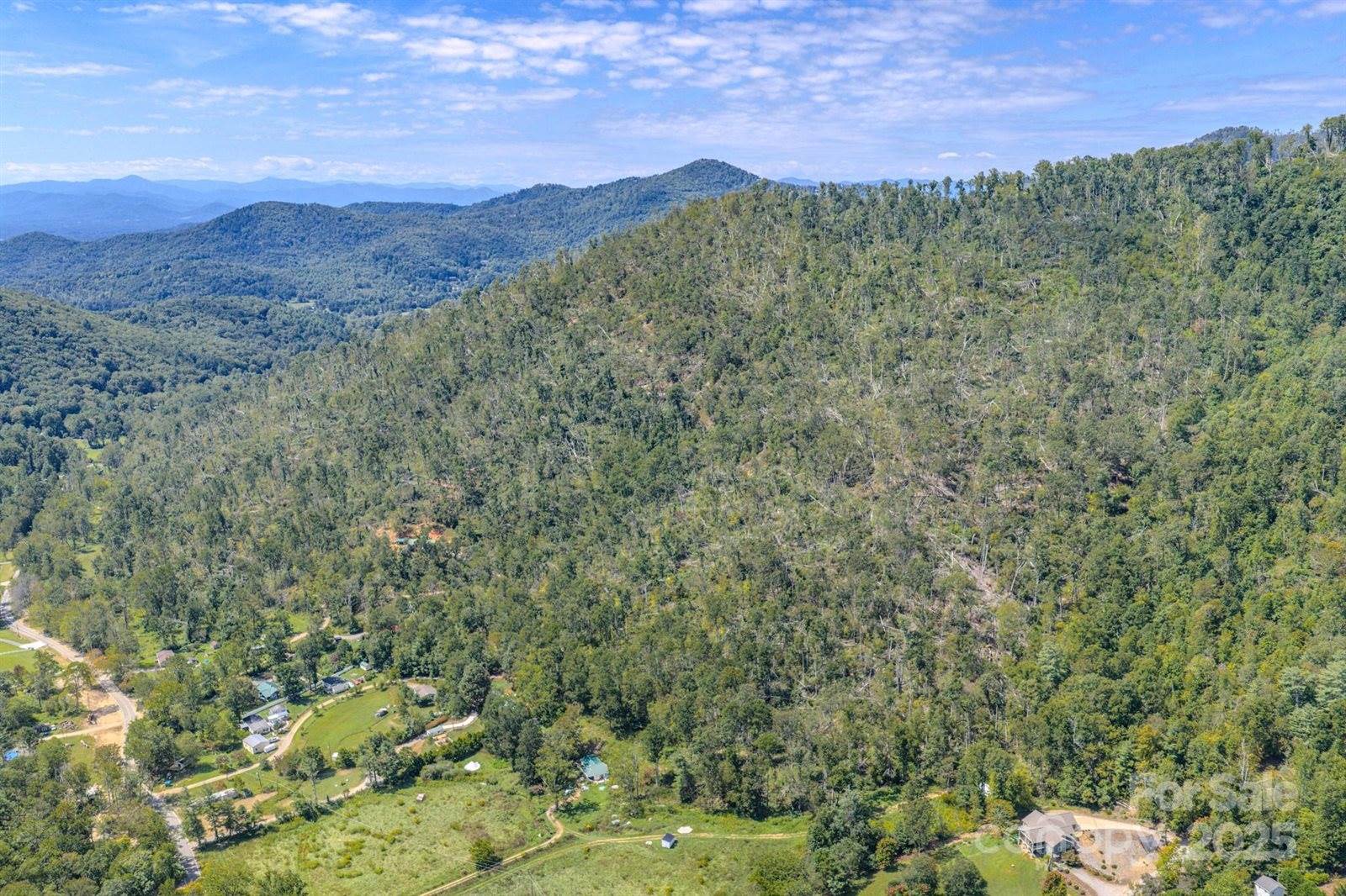 99999 Majestic Mountain Drive, Asheville, NC 28805