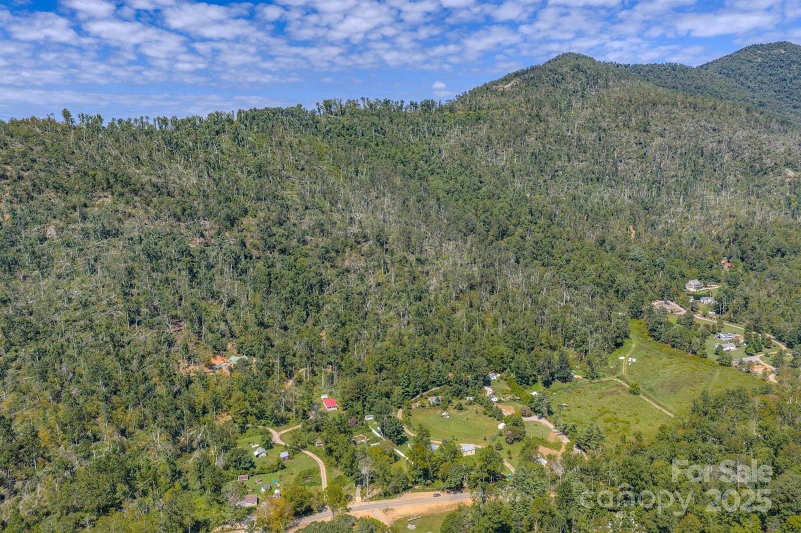 99999 Majestic Mountain Drive, Asheville, NC 28805