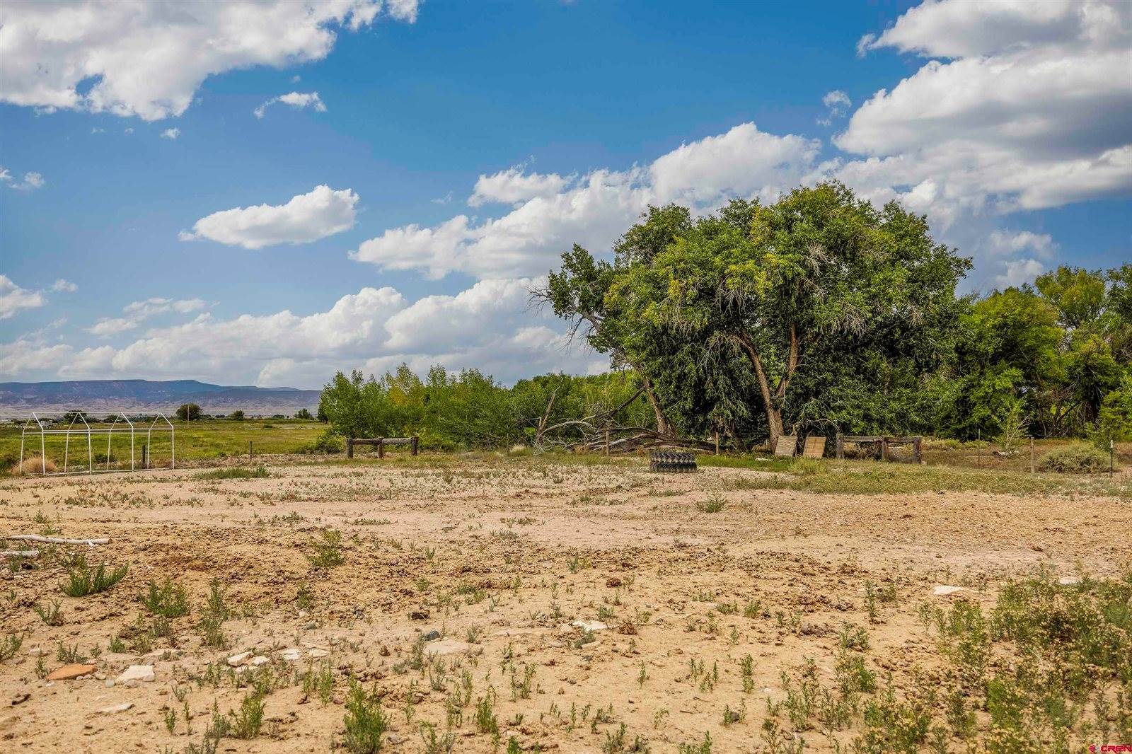 3847 5725 Road, Olathe, CO 81425