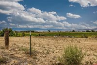 3847 5725 Road, Olathe, CO 81425