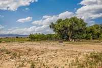 3847 5725 Road, Olathe, CO 81425