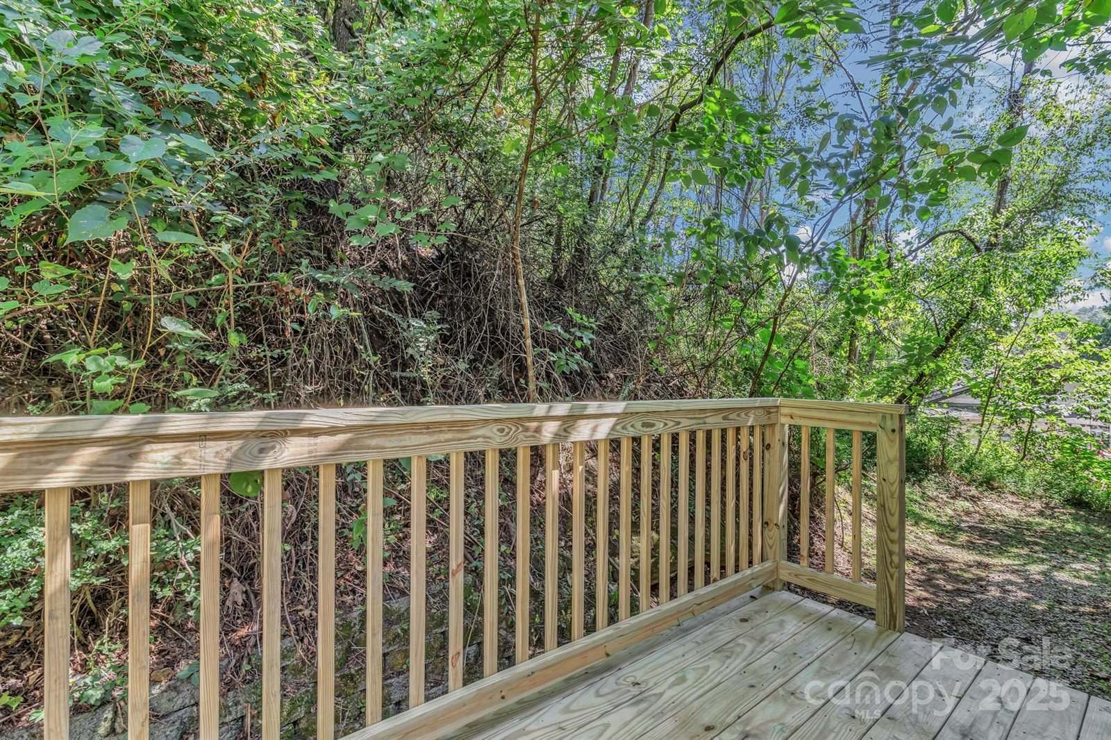 11 Vine Street, Asheville, NC 28804