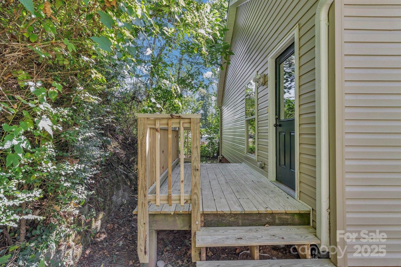 11 Vine Street, Asheville, NC 28804