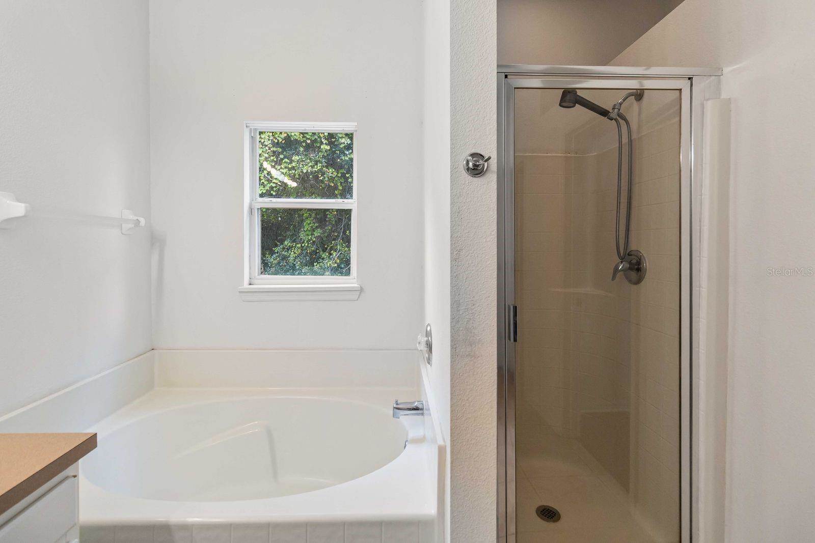 3044 Bay Laurel Circle, Kissimmee, FL 34744