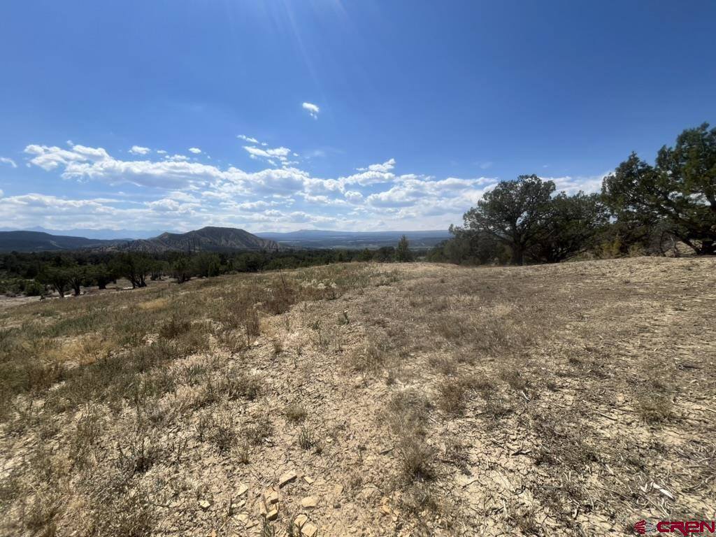 TBD Buckhorn Road, Montrose, CO 81403