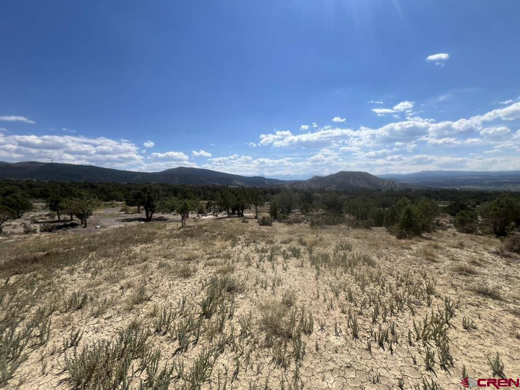 TBD Buckhorn Road, Montrose, CO 81403