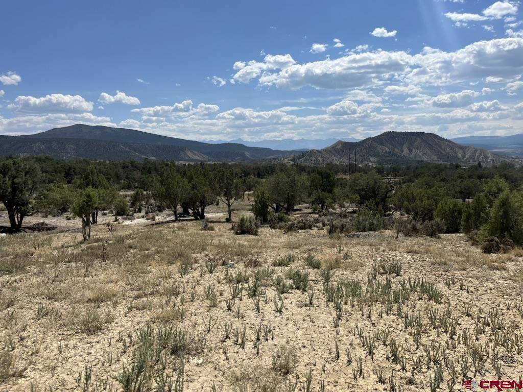 TBD Buckhorn Road, Montrose, CO 81403