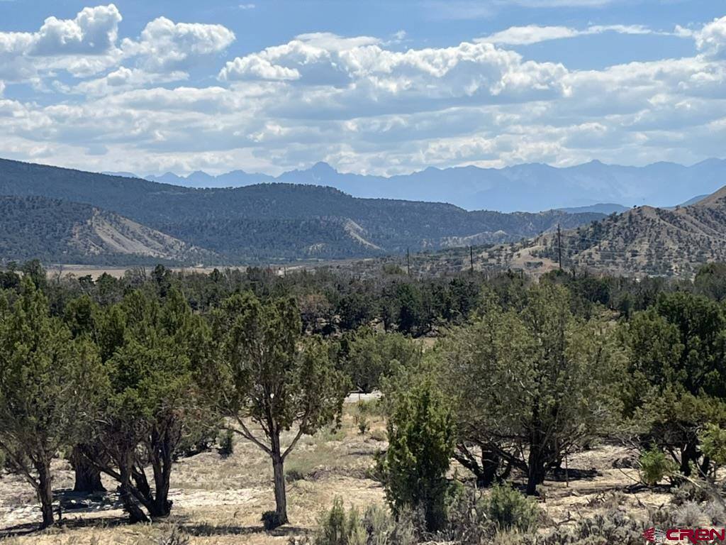TBD Buckhorn Road, Montrose, CO 81403