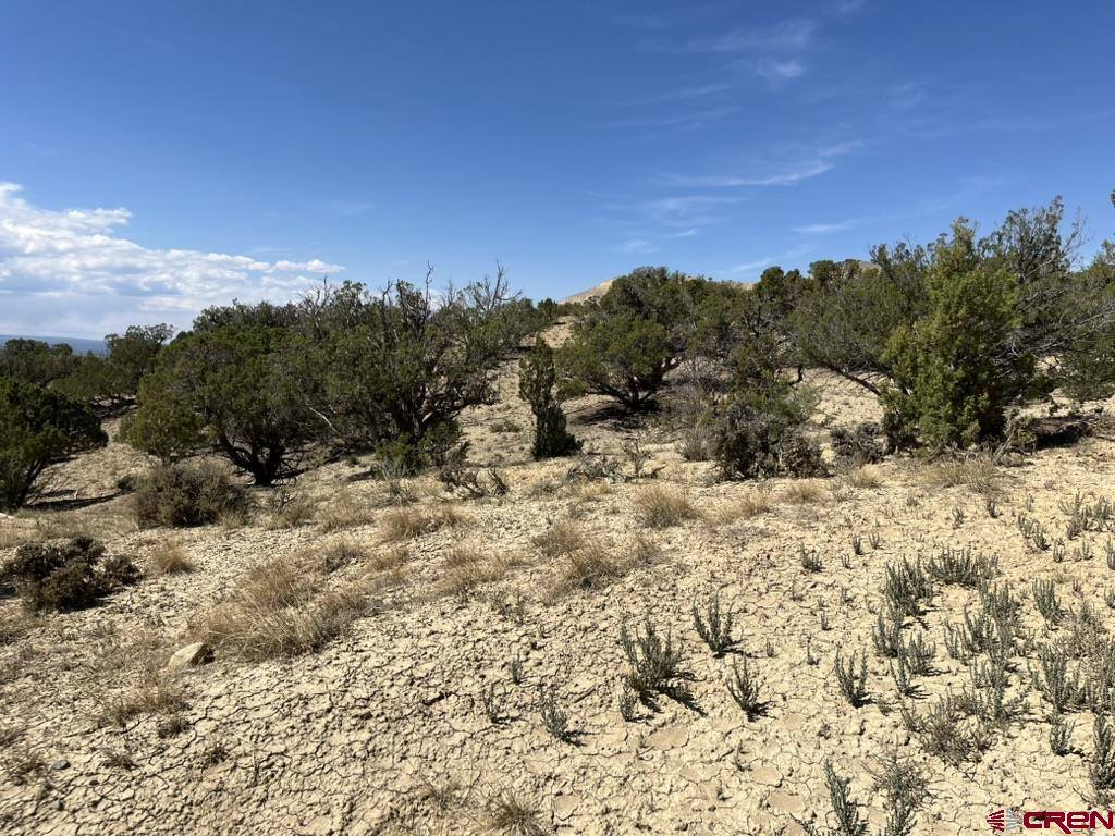 TBD Buckhorn Road, Montrose, CO 81403