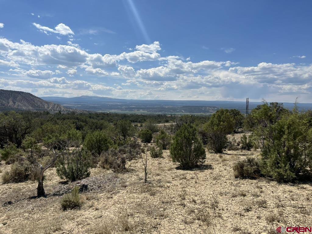 TBD Buckhorn Road, Montrose, CO 81403
