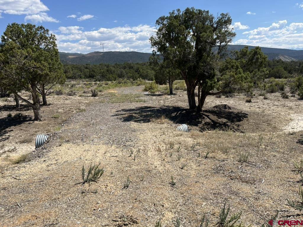 TBD Buckhorn Road, Montrose, CO 81403