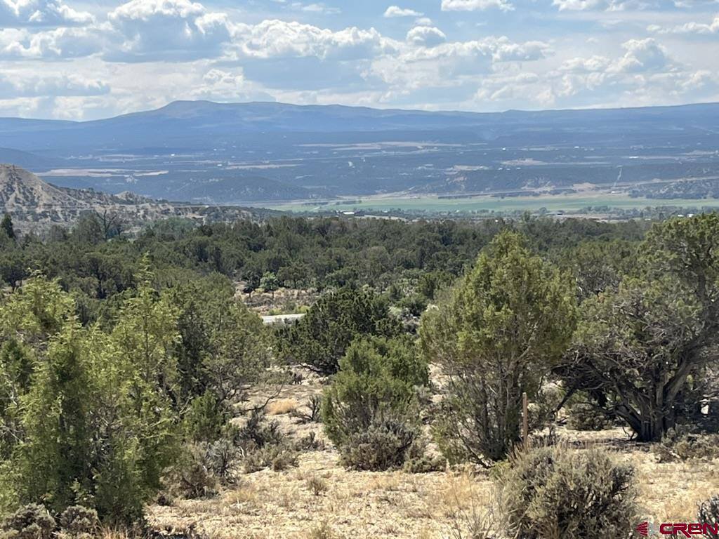 TBD Buckhorn Road, Montrose, CO 81403