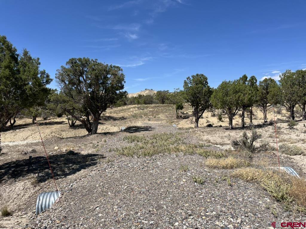 TBD Buckhorn Road, Montrose, CO 81403