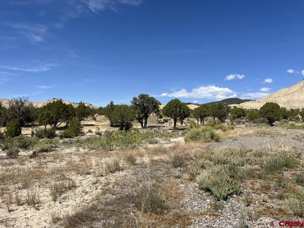 TBD Buckhorn Road, Montrose, CO 81403