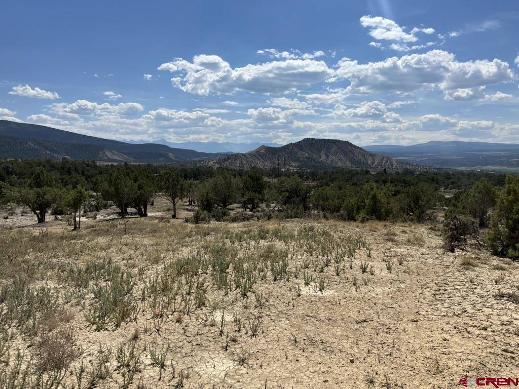 TBD Buckhorn Road, Montrose, CO 81403