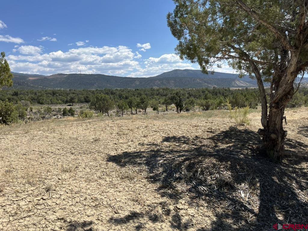 TBD Buckhorn Road, Montrose, CO 81403