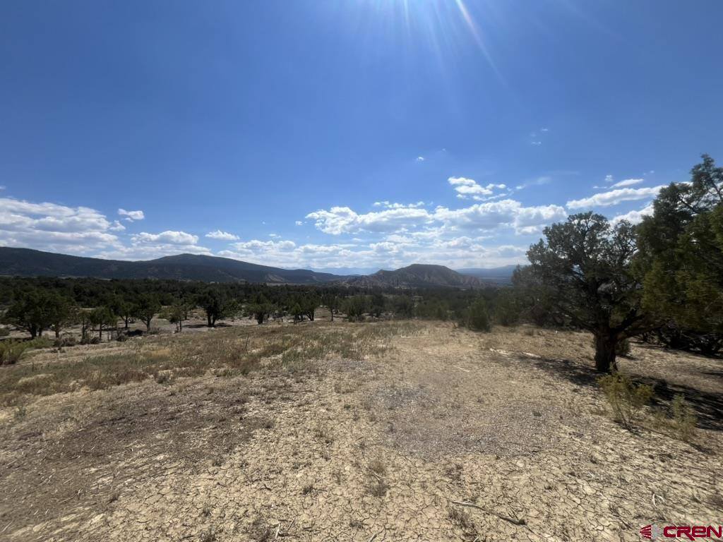 TBD Buckhorn Road, Montrose, CO 81403