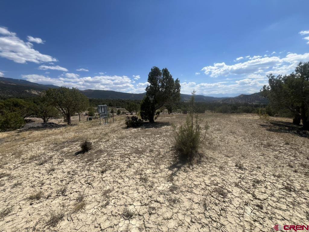 TBD Buckhorn Road, Montrose, CO 81403