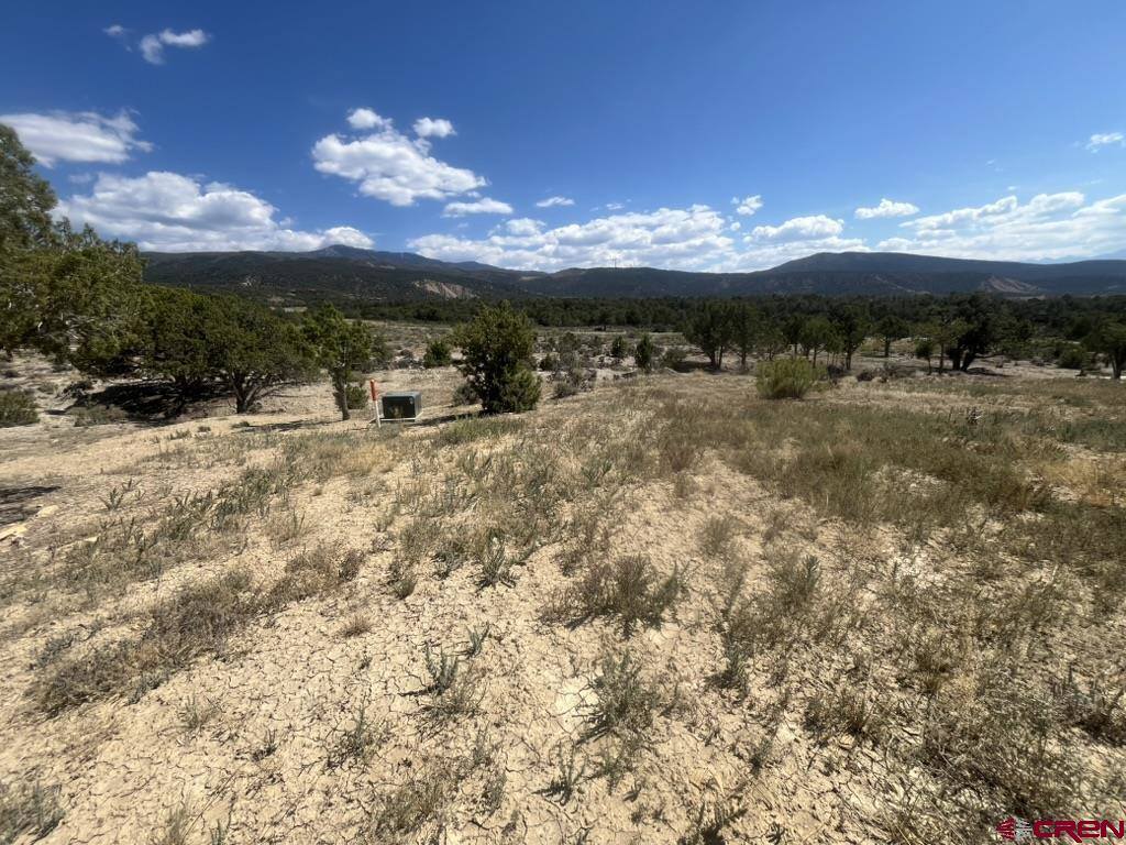 TBD Buckhorn Road, Montrose, CO 81403