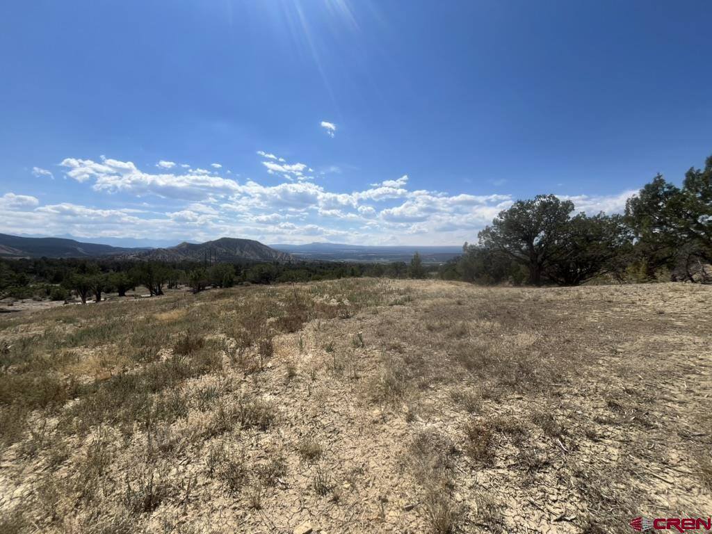TBD Buckhorn Road, Montrose, CO 81403