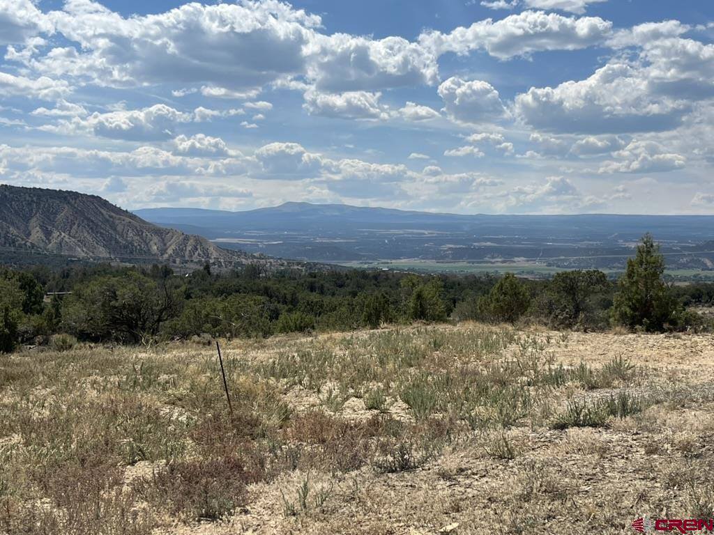 TBD Buckhorn Road, Montrose, CO 81403