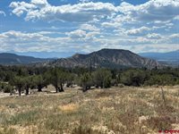 TBD Buckhorn Road, Montrose, CO 81403