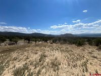 TBD Buckhorn Road, Montrose, CO 81403