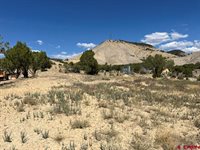 TBD Buckhorn Road, Montrose, CO 81403