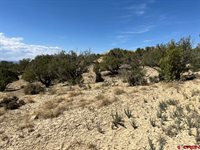 TBD Buckhorn Road, Montrose, CO 81403