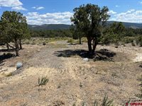 TBD Buckhorn Road, Montrose, CO 81403