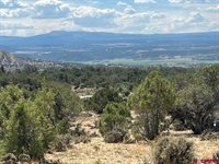 TBD Buckhorn Road, Montrose, CO 81403