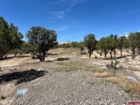 TBD Buckhorn Road, Montrose, CO 81403