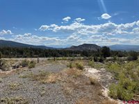 TBD Buckhorn Road, Montrose, CO 81403