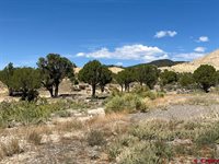 TBD Buckhorn Road, Montrose, CO 81403
