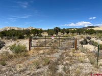 TBD Buckhorn Road, Montrose, CO 81403