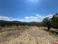 TBD Buckhorn Road, Montrose, CO 81403