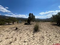 TBD Buckhorn Road, Montrose, CO 81403