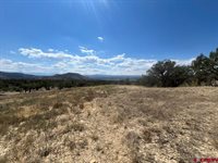 TBD Buckhorn Road, Montrose, CO 81403