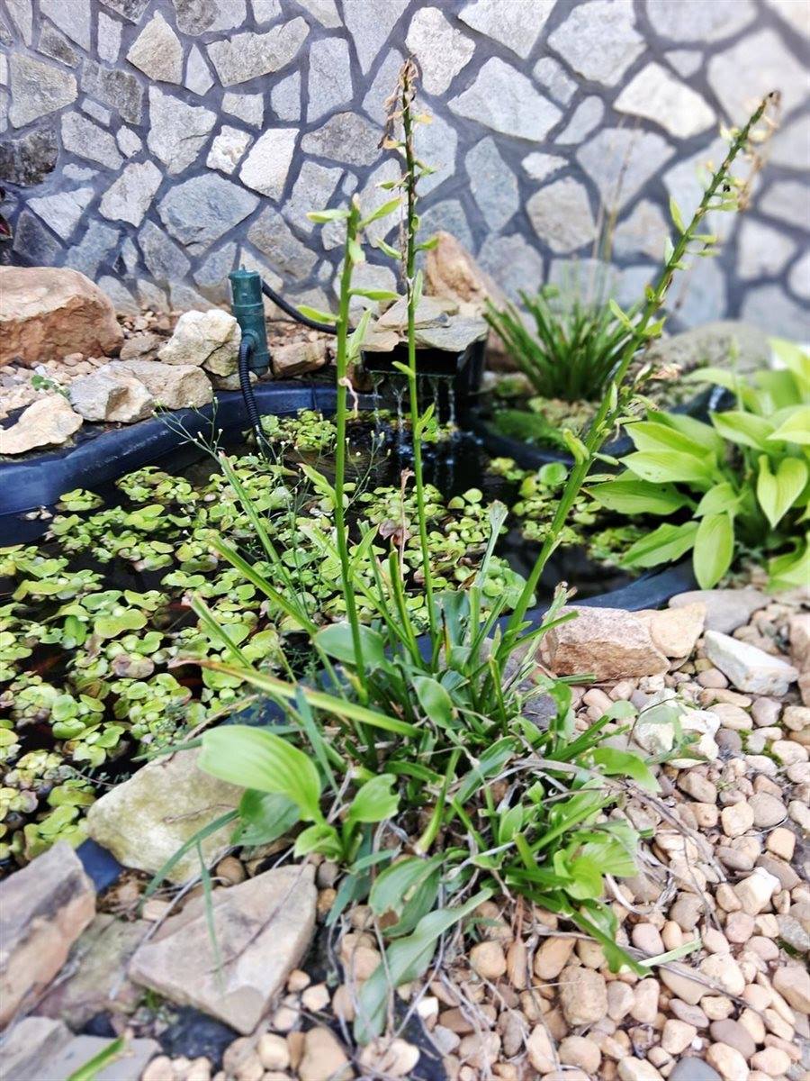 108 Mansfield Drive, Madison Heights, VA 24572