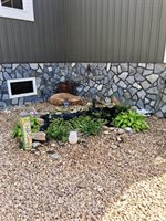 108 Mansfield Drive, Madison Heights, VA 24572