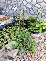 108 Mansfield Drive, Madison Heights, VA 24572