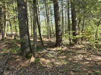 40 Orchard Drive, Saint Albans, ME 04971