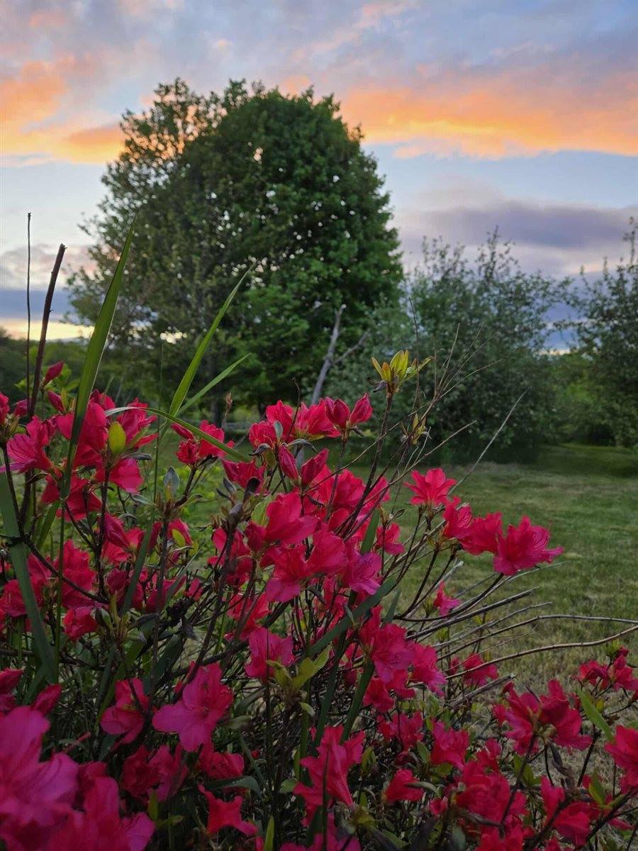 2926 Western Avenue, Newburgh, ME 04444