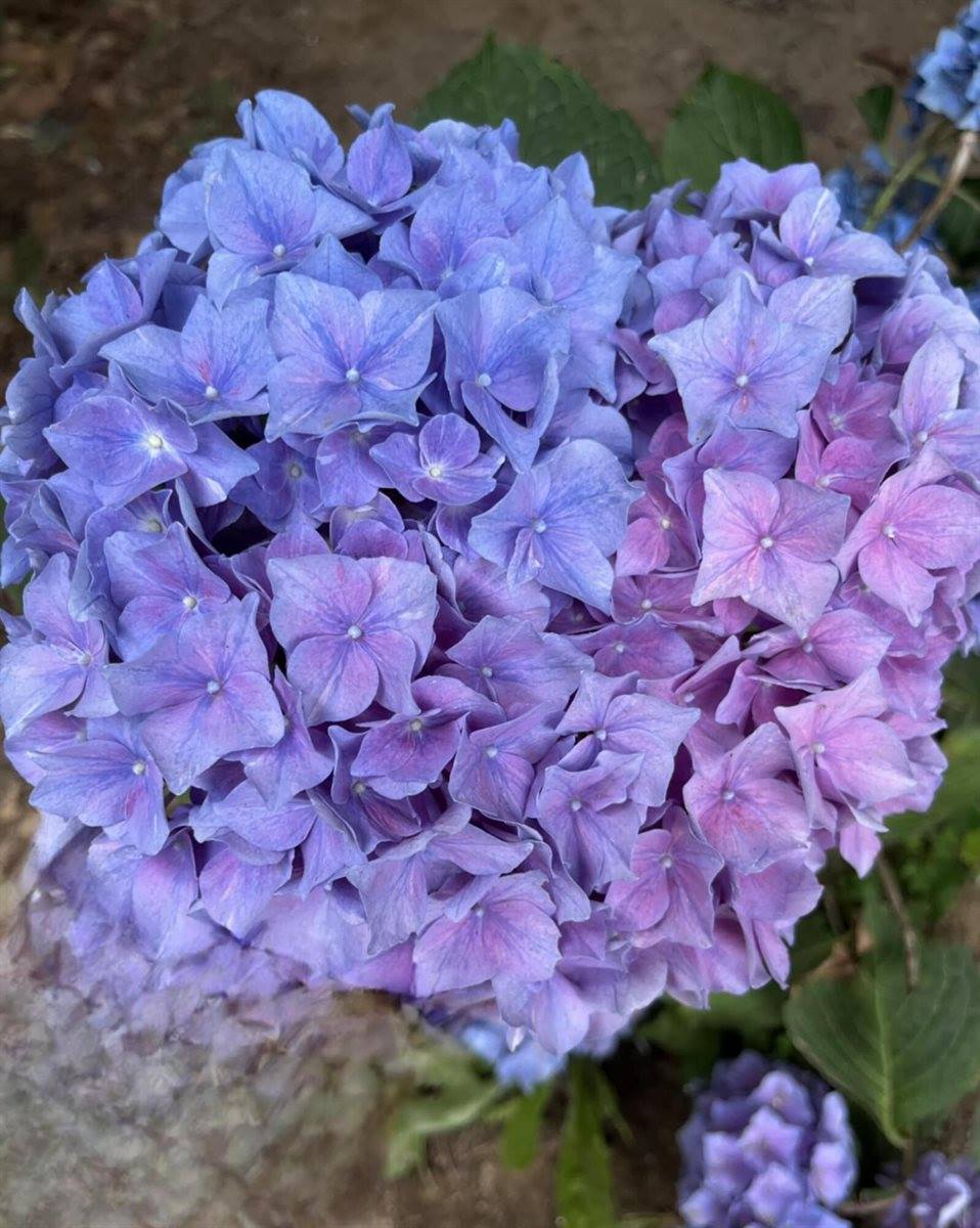 2926 Western Avenue, Newburgh, ME 04444